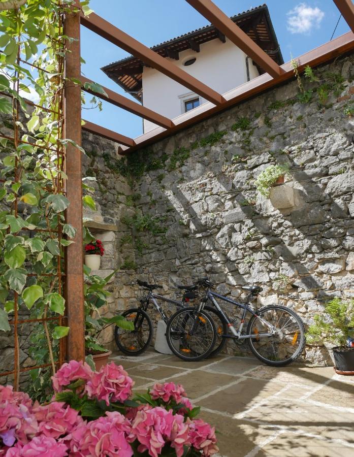 Apartmaji In Sobe Odlicna Hisa Штаньел Экстерьер фото